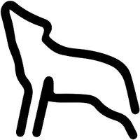 15% off Wolf Wear Voucher codes December