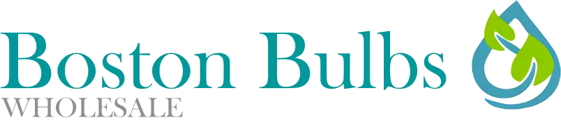 60% off Boston Bulbs Wholesale Voucher codes December