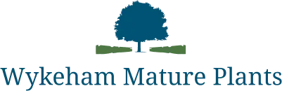 15% off Wykeham Mature Plants Voucher codes December