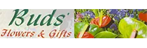 15% off Buds Voucher codes January