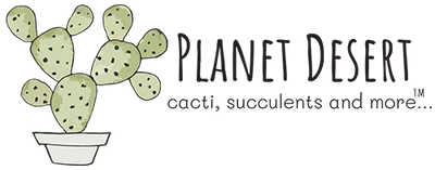 20% off Planet Desert Voucher codes December