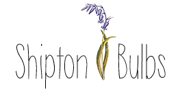 15% off Shipton Bulbs Voucher codes December