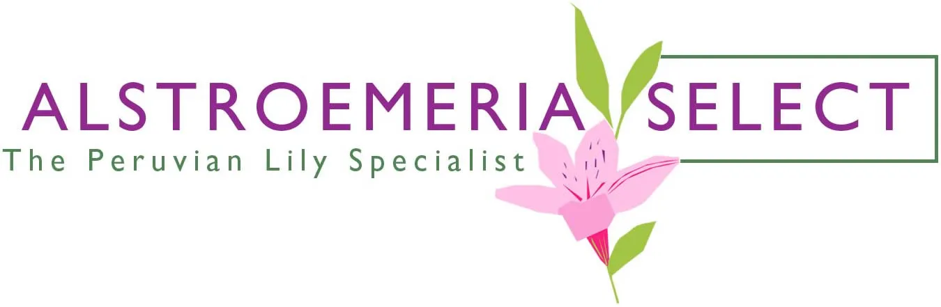 15% off Alstroemeria Select Voucher codes December
