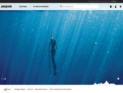 Patagonia Discount Codes & Deals