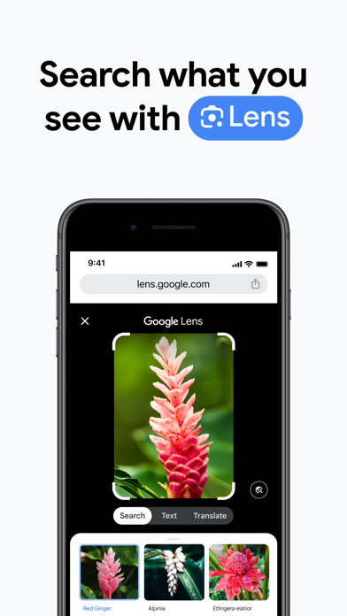 WhatsApp Messenger screenshot