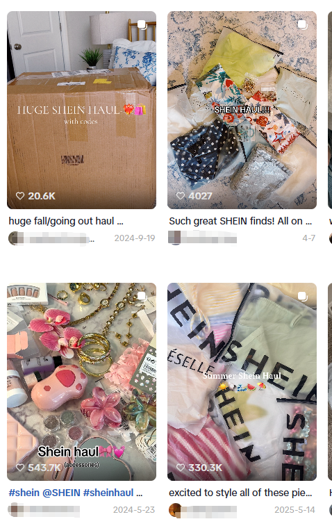 shein haul
