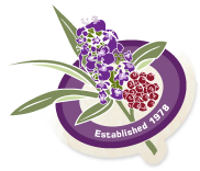 Herbs Hands Healing Discount Codes & Vouchers